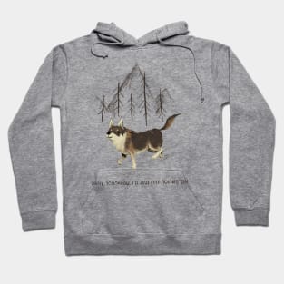 the littlest hobo Hoodie